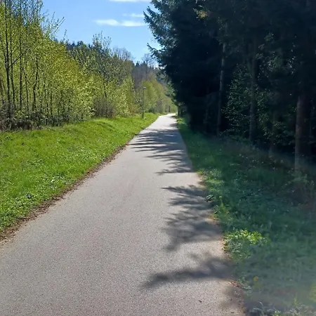 žižka