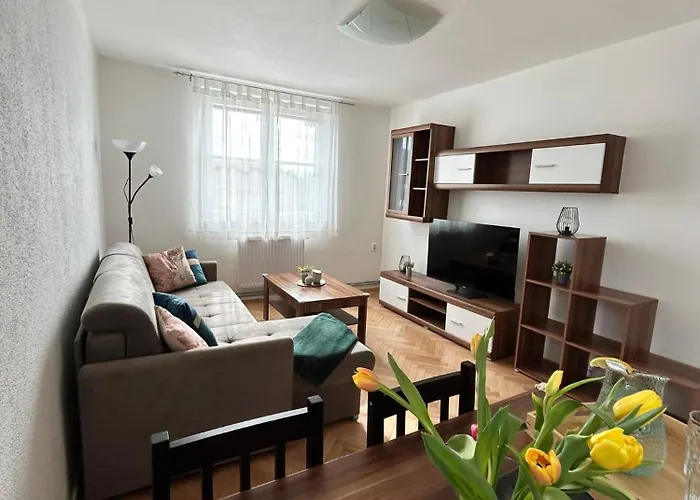 Appartement Zizka *