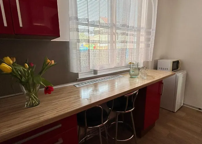 Appartement Zizka
