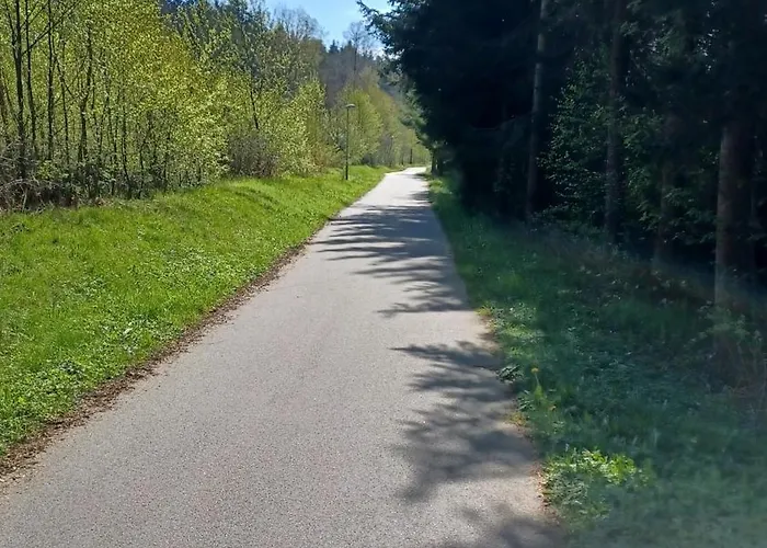 Zizka