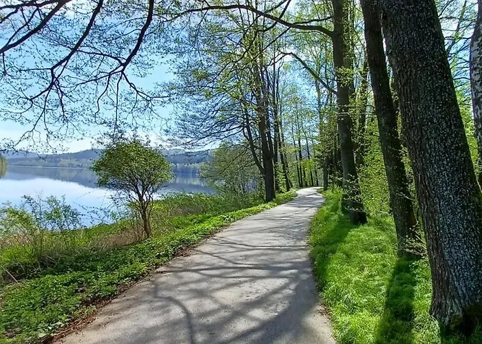 Zizka